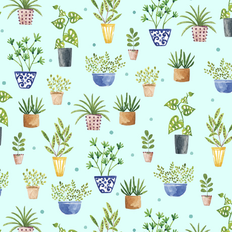 FROGS & FRONDS           